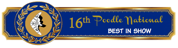 15th Australian Poodle National Winner